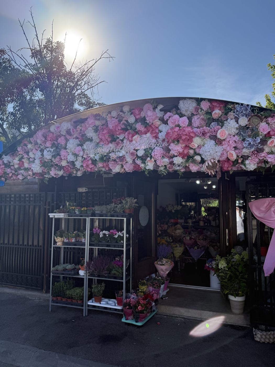 Fațada florăriei Maison des Fleurs, acoperită de flori, pe Bulevardul Aerogării