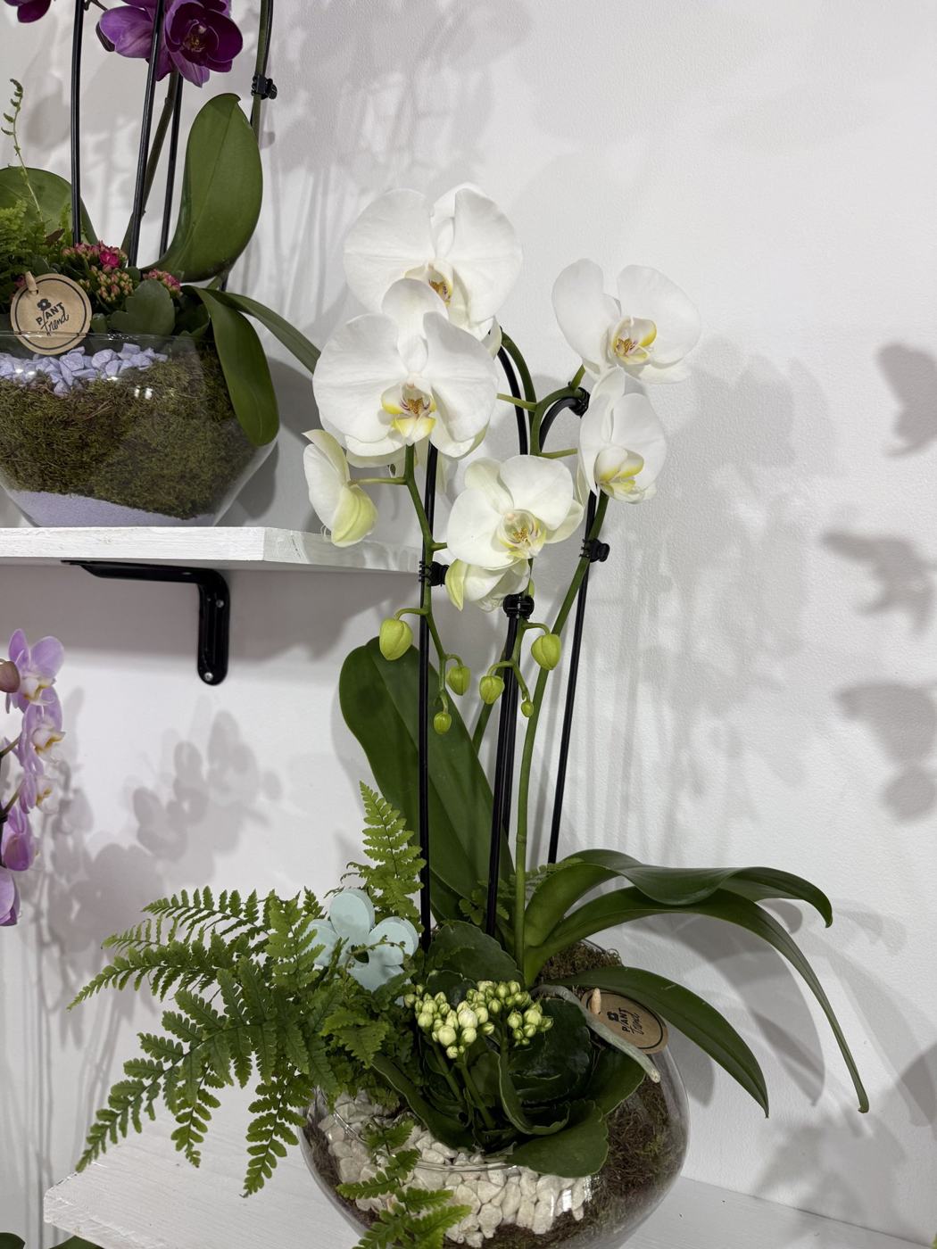 Buchetul ARANJAMENT ORHIDEE, Maison des Fleurs