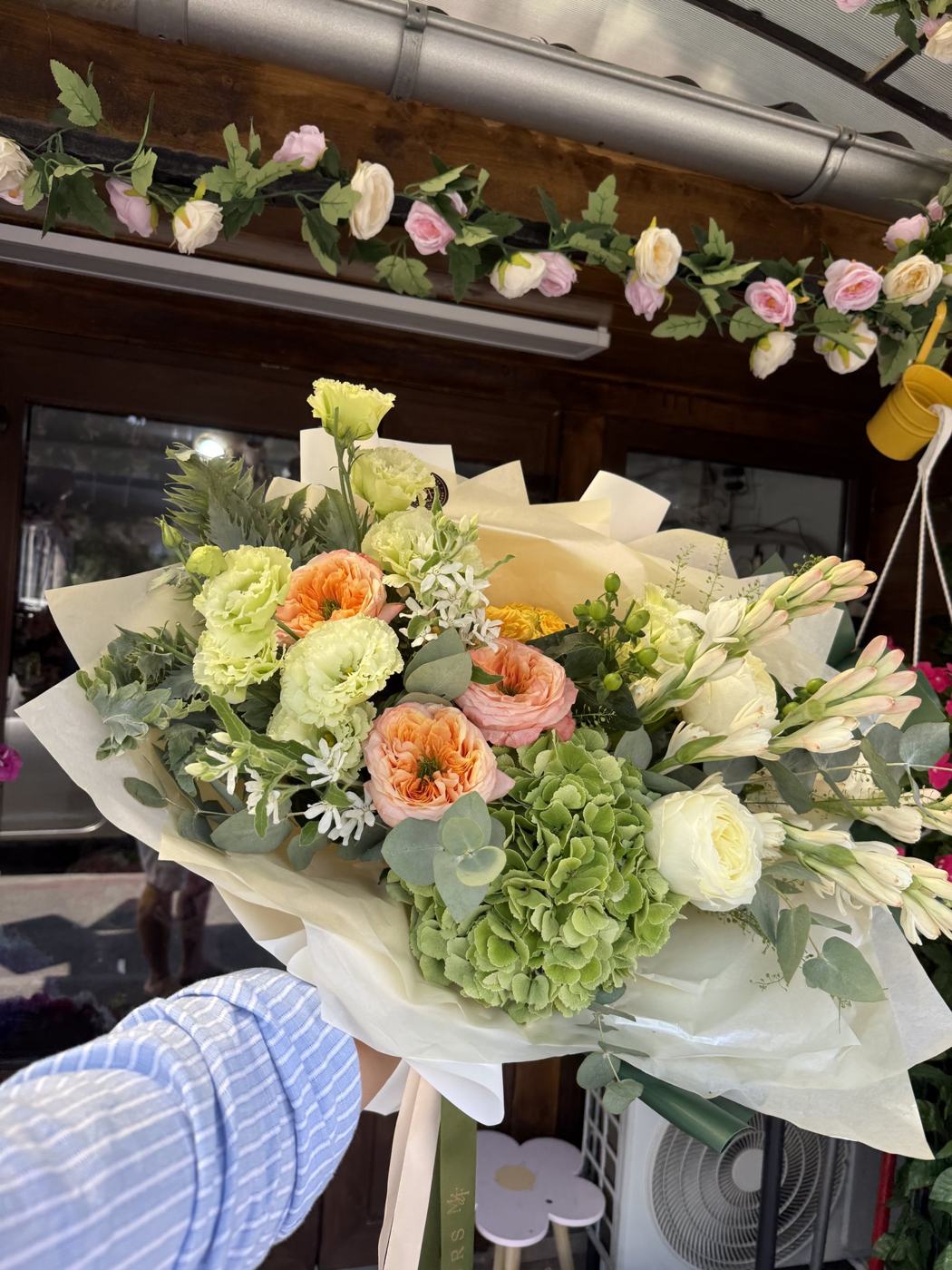 Buchetul Greenish, Maison des Fleurs